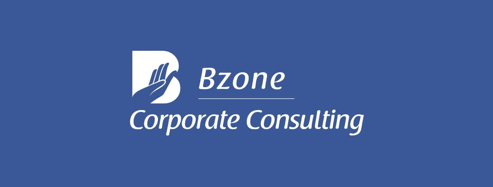 BZONE OPPORTUNITY PVT LTD